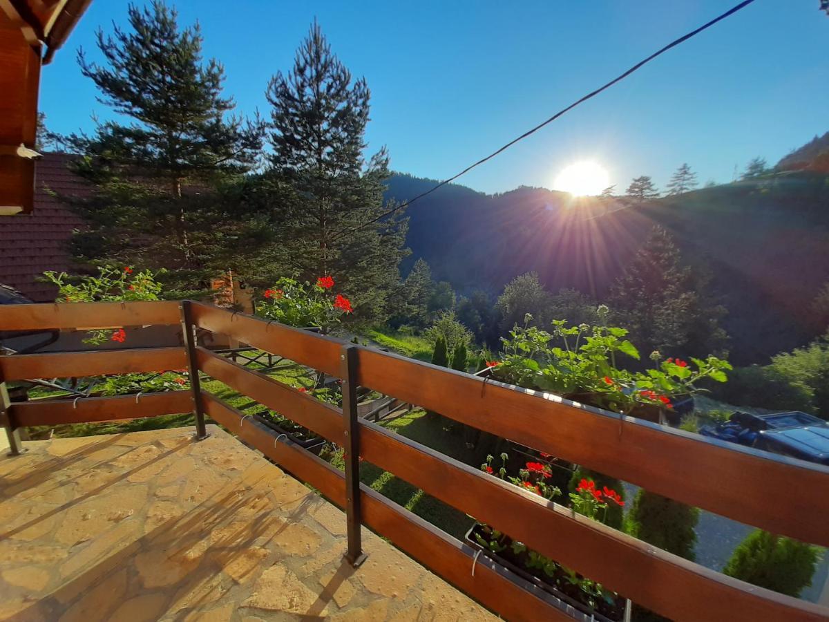 Suncana Dolina, Apartment