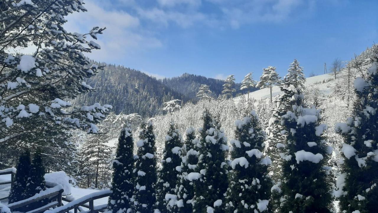 Suncana Dolina,